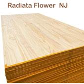 ไม้สน Radiata เพาะข้าง ลายดอกไม้ NJ